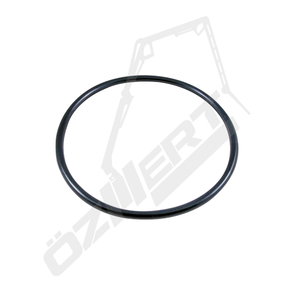 O-RING 200x10